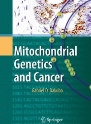 Mitochondrial Genetics and Cancer