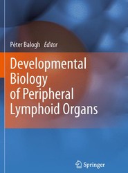 Developmental Biology of Peripheral Lymphoid Organs