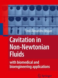 Cavitation in Non-Newtonian Fluids