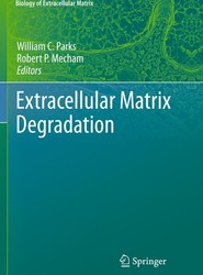 Extracellular Matrix Degradation