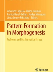 Pattern Formation in Morphogenesis