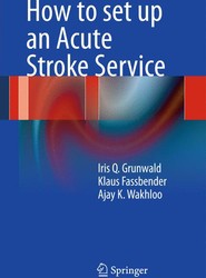 How to set up an Acute Stroke Service