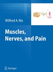 Muscles, Nerves, and Pain
