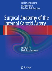 Surgical Anatomy of the Internal Carotid Artery