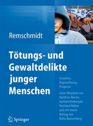 Toetungs- und Gewaltdelikte junger Menschen