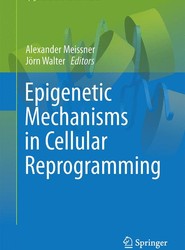 Epigenetic Mechanisms in Cellular Reprogramming