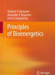 Principles of Bioenergetics