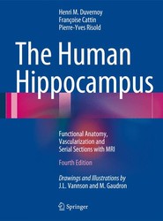 The Human Hippocampus