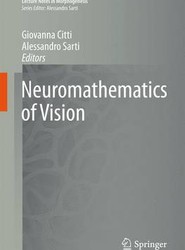 Neuromathematics of Vision