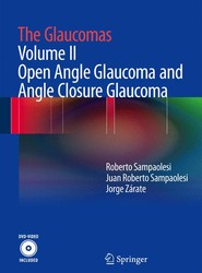 The Glaucomas