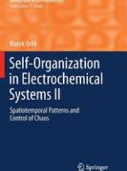 Self-Organization in Electrochemical Systems II
