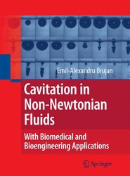 Cavitation in Non-Newtonian Fluids