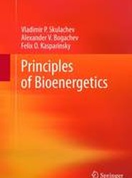 Principles of Bioenergetics
