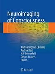 Neuroimaging of Consciousness