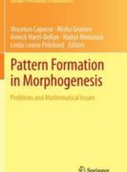 Pattern Formation in Morphogenesis