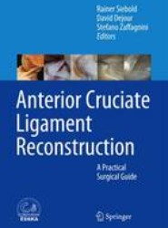 Anterior Cruciate Ligament Reconstruction