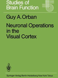 Neuronal Operations in the Visual Cortex