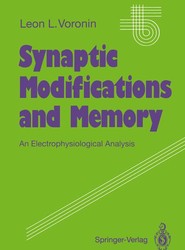 Synaptic Modifications and Memory