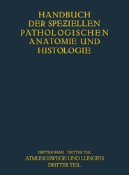 Atmungswege und Lungen