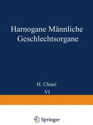 Harnorgane Mannliche Geschlechtsorgane