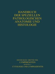 Lymphknoten Diagnostik in Schnitt und Ausstrich