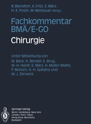 Fachkommentar BMAE/E-GO