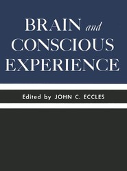 Brain and Conscious Experience