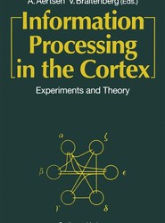 Information Processing in the Cortex