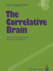 The Correlative Brain