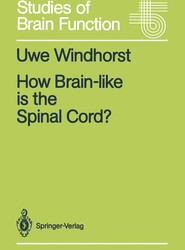 How Brain-like is the Spinal Cord?