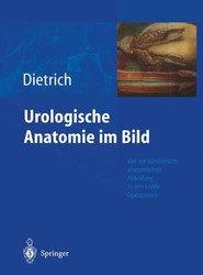 Urologische Anatomie Im Bild