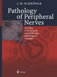 Pathology of Peripheral Nerves