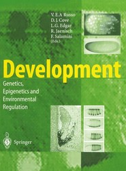 Development