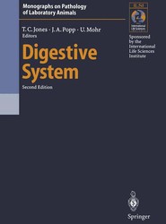 Digestive System