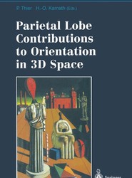 Parietal Lobe Contributions to Orientation in 3D Space