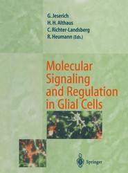 Molecular Signaling and Regulation in Glial Cells