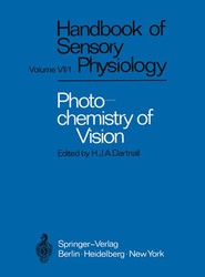 Photochemistry of Vision