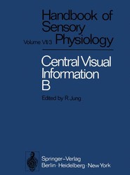 Visual Centers in the Brain