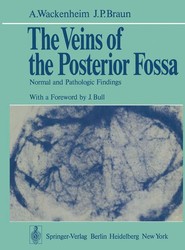 The Veins of the Posterior Fossa