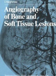 Angiography of Bone and Soft Tissue Lesions