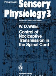 Control of Nociceptive Transmission in the Spinal Cord