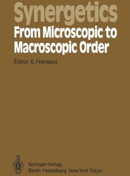 Synergetics - From Microscopic to Macroscopic Order