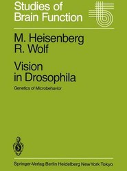 Vision in Drosophila