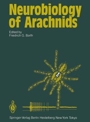Neurobiology of Arachnids