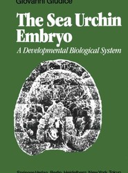 The Sea Urchin Embryo