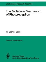 The Molecular Mechanism of Photoreception
