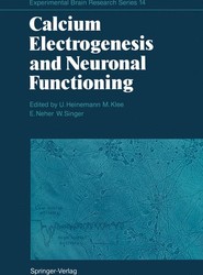 Calcium Electrogenesis and Neuronal Functioning