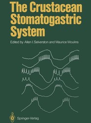 The Crustacean Stomatogastric System