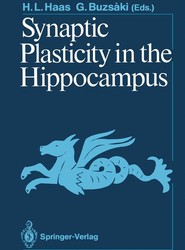 Synaptic Plasticity in the Hippocampus