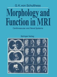 Morphology and Function in MRI